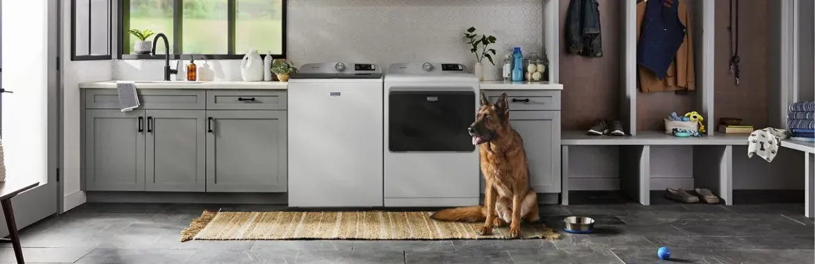 Maytag top load electric dryer and washer set in a large laundry room with a dog, ideal for family-sized loads.